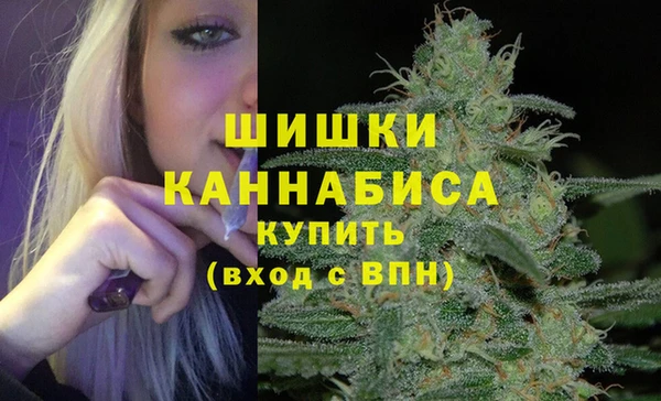 не бодяженный Няндома