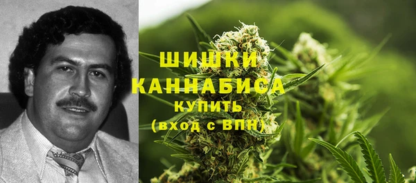 стафф Абинск