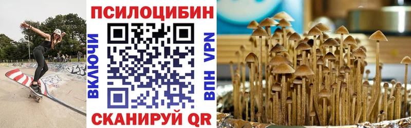 Псилоцибиновые грибы GOLDEN TEACHER  Липецк 