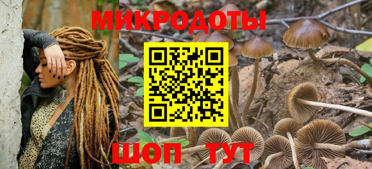 Псилоцибиновые грибы Magic Shrooms  Галлюциногенные грибы Psilocybine cubensis  Вход с VPN  Липецк 