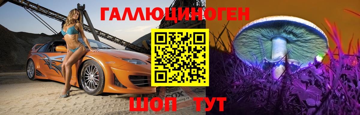Галлюциногенные грибы Psilocybe Липецк
