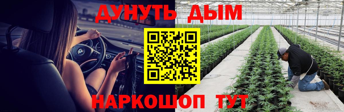 Бошки Шишки LSD WEED  Марихуана Amnesia  Вход с VPN  Липецк  Каннабис сатива 